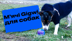 GiGwi Ball Набор из двух резиновых мячей с пищалкой для собак | Обзор от Pethouse