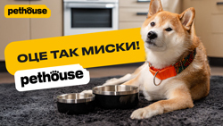 Миска має значення! Новинки від Pethouse