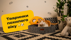 Догляд за тваринками похилого віку