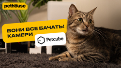 Камери від Petcube. Нагляд 24/7