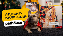 Адвент-календар Pethouse для котів та собак: смаколики на кожен день