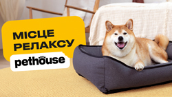 Лежаки Pethouse. Петродители и зверята оценят