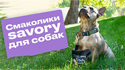 Новые лакомства Savory для собак