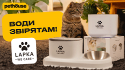Питьевой фонтан Lapka Cat Water Fountain для зверят