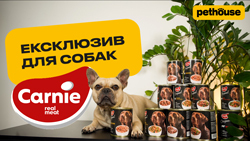Новинка для собак. Carnie Original
