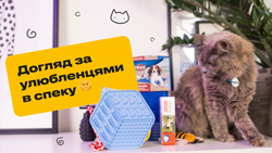 Уход за любимцами в жару