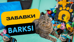 Новинки від Barksi. Іграшки для собак і котів