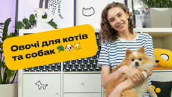 Які овочі можна котам і собакам?