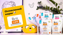Обновленный корм Brit Care для собак