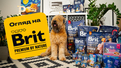 Обзор на бренд Brit Premium