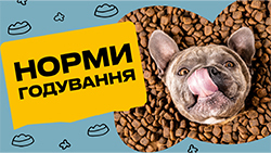 Норми годування цуценят