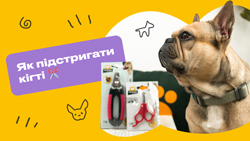 Как подстригать когти любимцам?