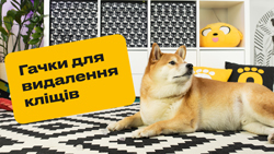 Гачки для видалення кліщів Гачки для видалення кліщів
