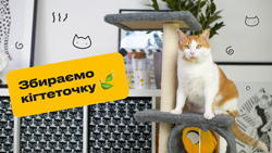 Як правильно зібрати кігтеточку
