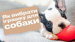 Игрушки для собак: разновидности, особенности и как ими играть