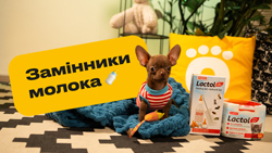 Заменители молока