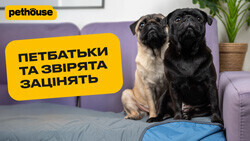 Покривало Pethouse "Аквастоп" для котів і собак
