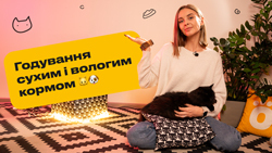 Годування сухим і вологим кормом