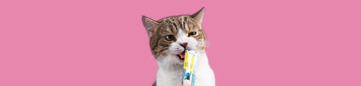 Питание кошек и котов
